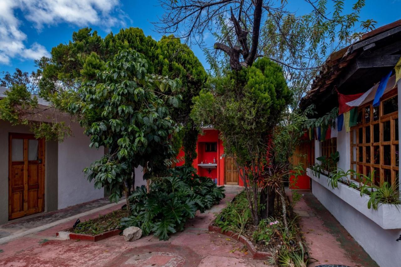 Hostel Fandango San Cristóbal de Las Casas Exterior foto